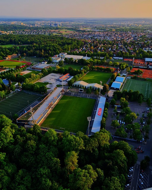 进一步引进 进一步引进