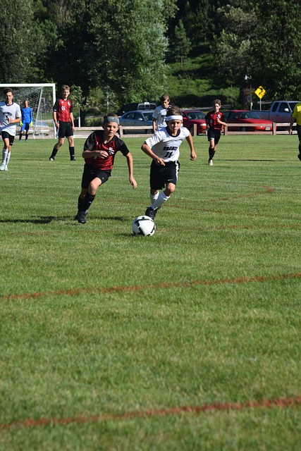 断进化的防 断进化的防